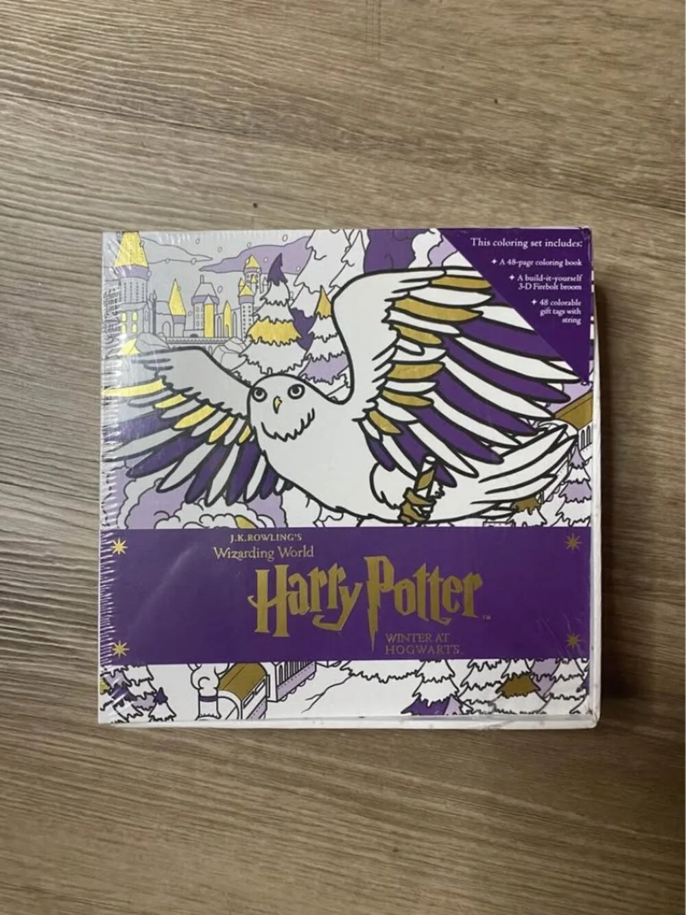 Wizarding World of Harry Potter Winter at Hogwarts Coloring Set | 3D Firebolt Br